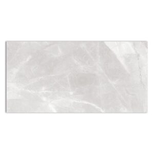 ARMANI BIANCO (MATT)60X120