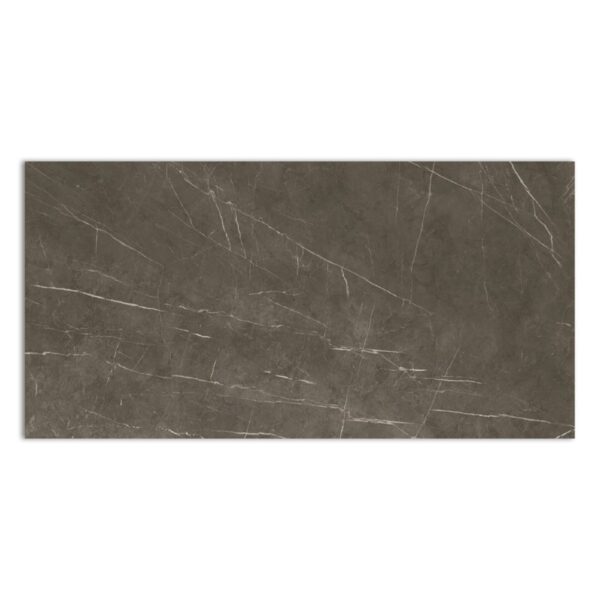 TESSINO BRONZE PULIDO RECTIFIC 60X120