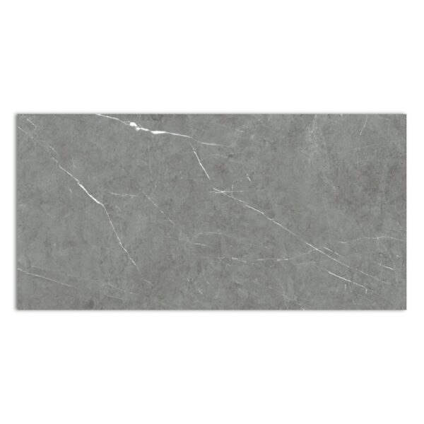 TESSINO GREY NATURAL (MAT) RECT 60X120