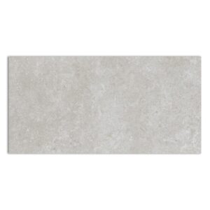 XS ETIENNE GREIGE (PRC) 60X120 RC STD